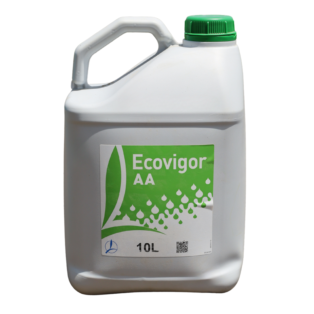 ECOVIGOR AA