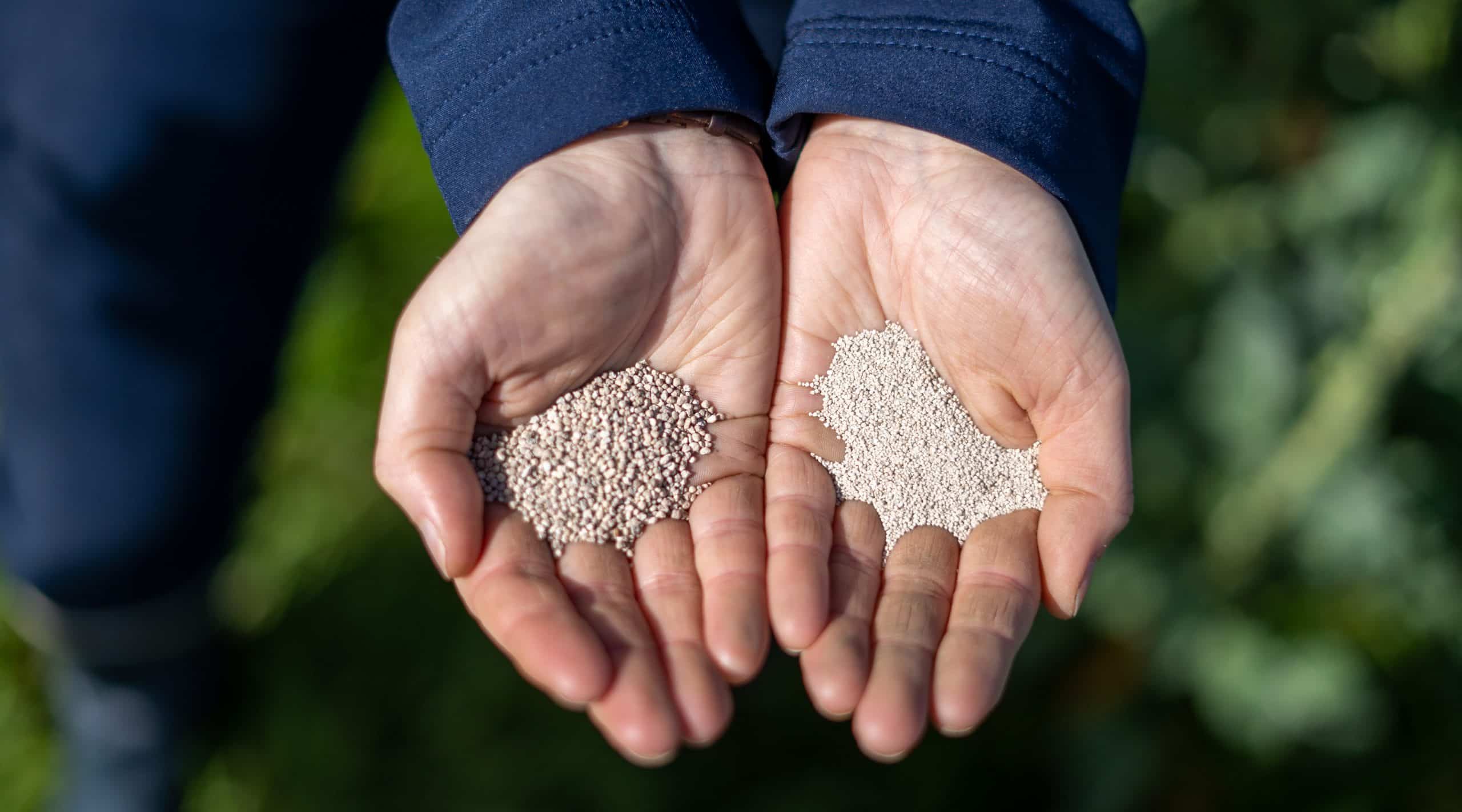 fertilisation agricole,TIMAC AGRO MAROC,nutrition végétale,production animale,solutions agricoles Maroc,agri service maroc