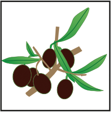 crop step 8
