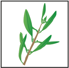crop step 0