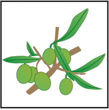 crop step 7