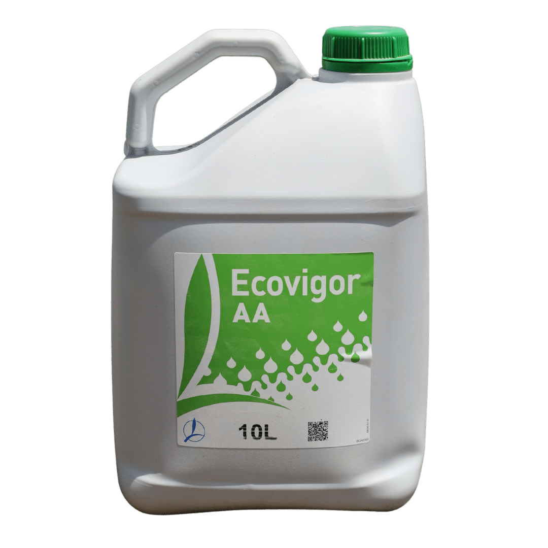 ECOVIGOR AA