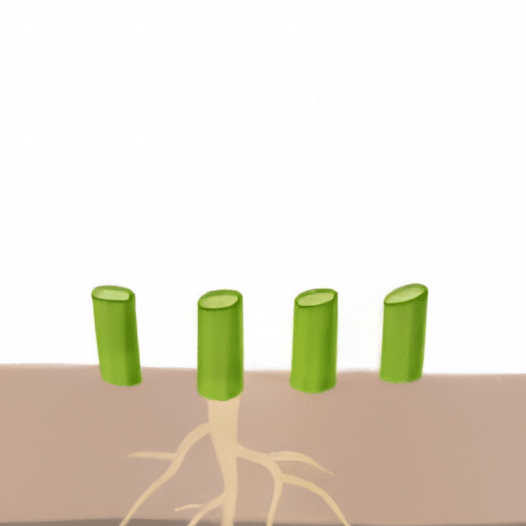 crop step 4